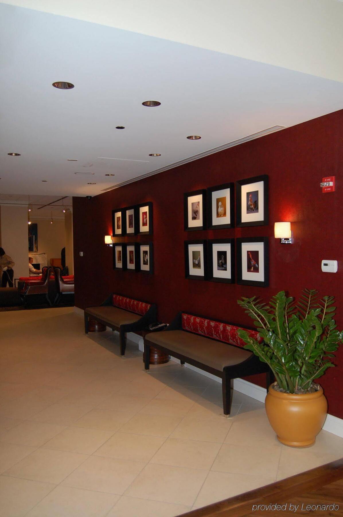 Holiday Inn Express Chicago - Magnificent Mile By Ihg מראה חיצוני תמונה